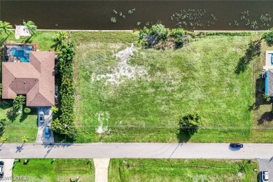 Stunning CANAL LOT including brand new Seawall - utilities - photo 3
