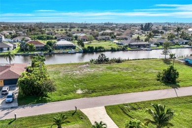 Stunning CANAL LOT including brand new Seawall - utilities - photo 6