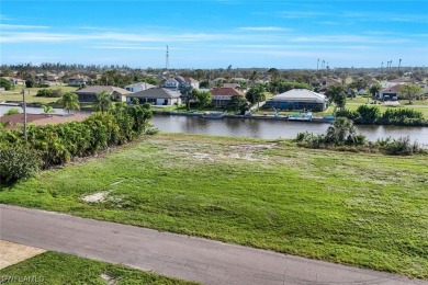 Stunning CANAL LOT including brand new Seawall - utilities - photo 10