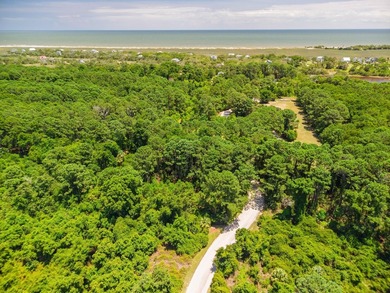 Island living with beautiful Marsh Views & welcoming Sea Breezes - photo 11