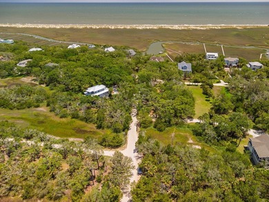 Island living with beautiful Marsh Views & welcoming Sea Breezes - photo 12
