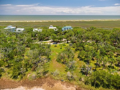 Island living with beautiful Marsh Views & welcoming Sea Breezes - photo 14