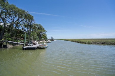 Island living with beautiful Marsh Views & welcoming Sea Breezes - photo 18