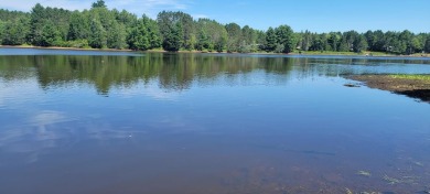 Spirit River Flowage Lot For Sale in Tomahawk Wisconsin