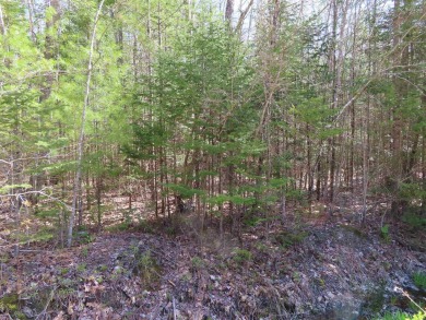 Lake Lot Sale Pending in Barnstead, New Hampshire