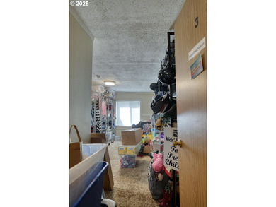 CHANCE TO OWN TASTEFULLY REMODELED 4 Bed/2 Bath HOME W/GRANITE - photo 41