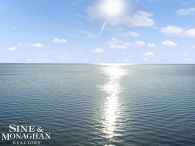 Lake Saint Clair Home For Sale in Saint Clair Shores Michigan