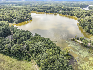 Noah Lake Lot For Sale in Three Rivers Michigan