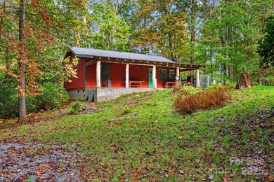 Line Runner Lake Home For Sale in Rosman North Carolina