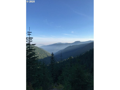Discover an exceptional 33-acre timber and recreational - photo 1