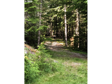 Discover an exceptional 33-acre timber and recreational - photo 2