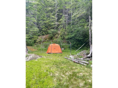 Discover an exceptional 33-acre timber and recreational - photo 3