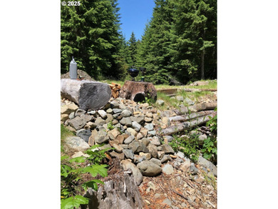 Discover an exceptional 33-acre timber and recreational - photo 4