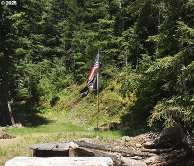 Discover an exceptional 33-acre timber and recreational - photo 6