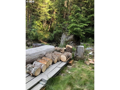 Discover an exceptional 33-acre timber and recreational - photo 9