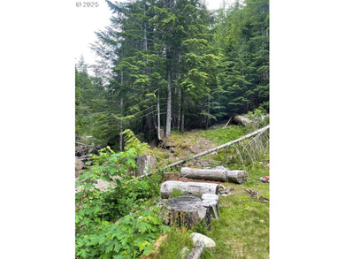 Discover an exceptional 33-acre timber and recreational - photo 10