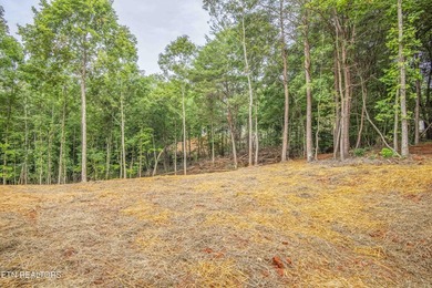 Brand-New Lake Living Awaits! Experience the perfect blend of - photo 38
