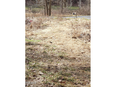 (private lake, pond, creek) Lot For Sale in Flag Pond Tennessee