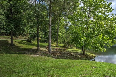 Escape to your own private retreat in The Preserve at Rising - photo 47