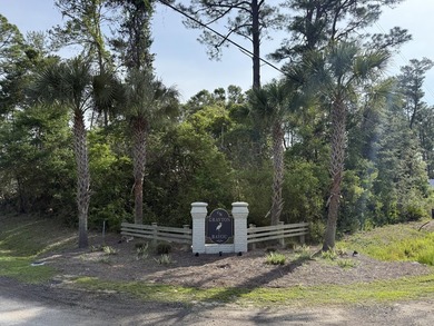 This Point Washington residential lot is locatated in the - photo 1