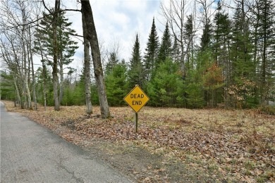 Lake Acreage For Sale in Hayward, Wisconsin