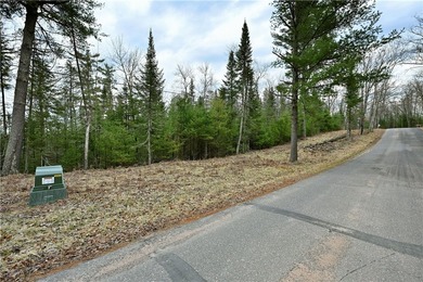 Waterfront Vacant Land with 2 gorgeous Northwoods building sites - photo 4