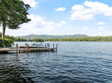 A level lot. A walk-in sandy beach. Over 200 feet of Lake - photo 15