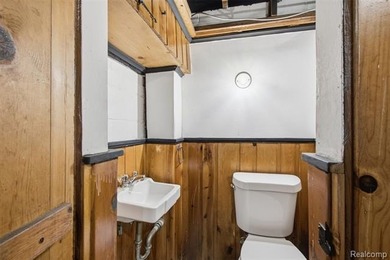 Welcome to this beautifully maintained home in desirable Grosse - photo 16