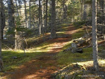 Enjoy your summers with unlimited lake access via the large - photo 4