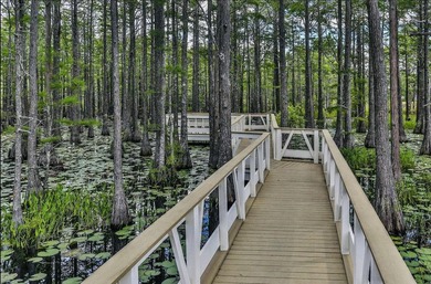 Build your dream coastal retreat on Lot 12 in Cypress Dunes, a - photo 35