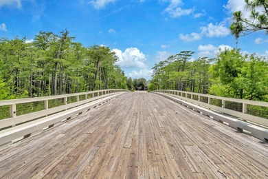 Build your dream coastal retreat on Lot 12 in Cypress Dunes, a - photo 36