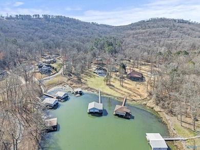 Luxury Waterfront Living! Experience the pinnacle of lakefront - photo 49