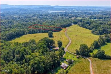 Holston River - Hawkins County Acreage For Sale in Rogersville Tennessee