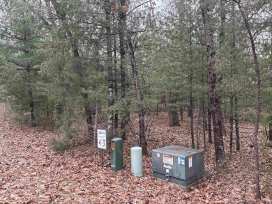 Lake Lot For Sale in Friendship, Wisconsin