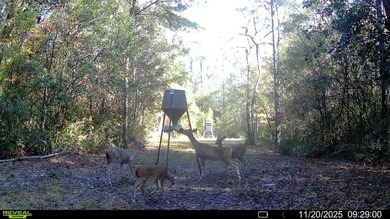 (private lake, pond, coastal) Acreage For Sale in Crestview Florida