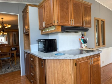 TURNKEY 2 Bedroom, 2 Bath Palm Harbor Home in the 55+ Community - photo 4
