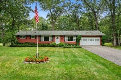 Burt Lake Home Sale Pending in Indian River Michigan