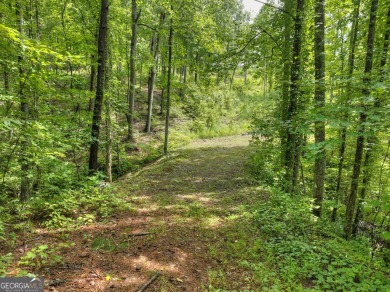 (private lake, pond, creek) Acreage For Sale in Ellijay Georgia