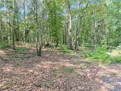 Lake Hartwell Acreage For Sale in Westminster South Carolina