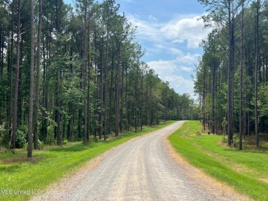 Lake Lorman  Acreage For Sale in Flora Mississippi