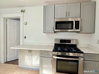 Rental Income $3,600 + $2,600. Cap Rate 7%+. Spacious Stamford 2 - photo 2