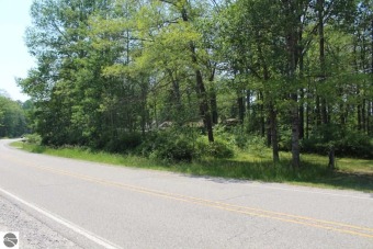 Jose Lake Lot For Sale in South Branch Michigan