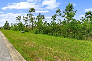 Here is your chance to build your dream home on a spacious 0 - photo 8