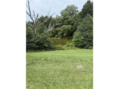 This 2 BR 1.5 Bath fixer upper is a nice 2 acre rural property - photo 18
