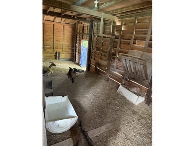 This 2 BR 1.5 Bath fixer upper is a nice 2 acre rural property - photo 21