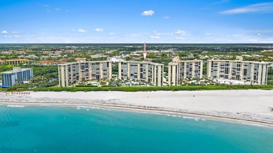 Florida's most photographed landmarks. Dubois Park, tucked along - photo 26