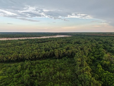 1541 +/- Acres of Riverfront Property **Willing to Divide** Land - photo 31