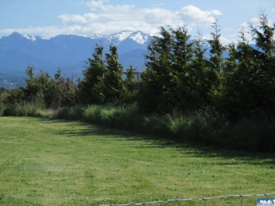 Strait Juan de Fuca  Acreage For Sale in Sequim Washington