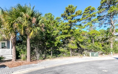 Build your dream home on this prime lot boasting over 1/2 an - photo 8