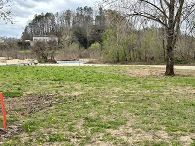 Current River Lot For Sale in Van Buren Missouri